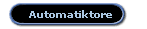 Automatiktore